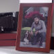 Purina_Featured